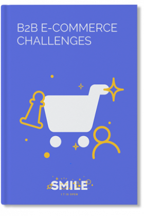 B2B e-commerce challenges