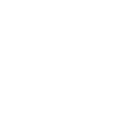 Liferay platinum partner logo