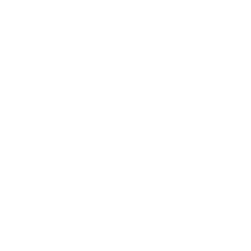 Magento global elite partner